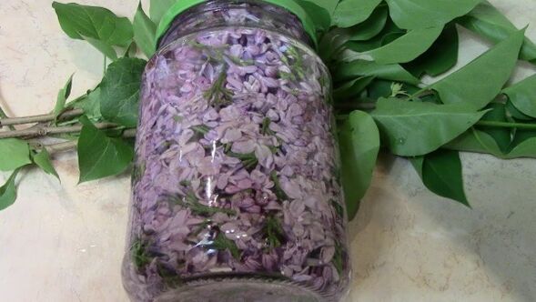 Lilac tincture for massaging the lower back with osteoarthritis